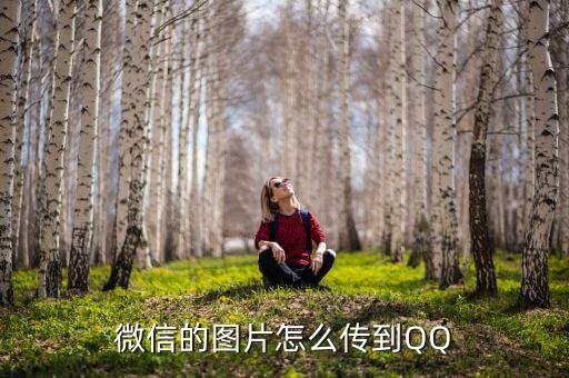微信圖片怎么發在qq上面去，微信的圖片怎么傳到QQ...